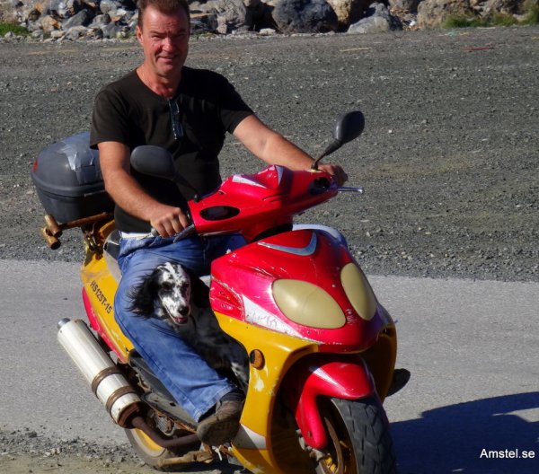 Fishcat&Clyde.JPG Fishcat&Clyde.JPG