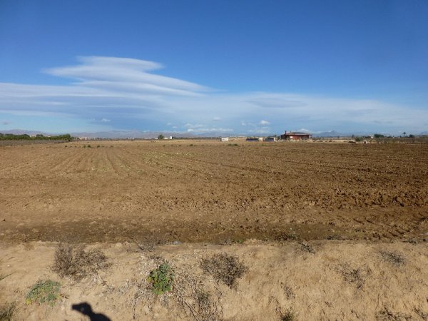 P1000279(1).JPG P1000279(1).JPG