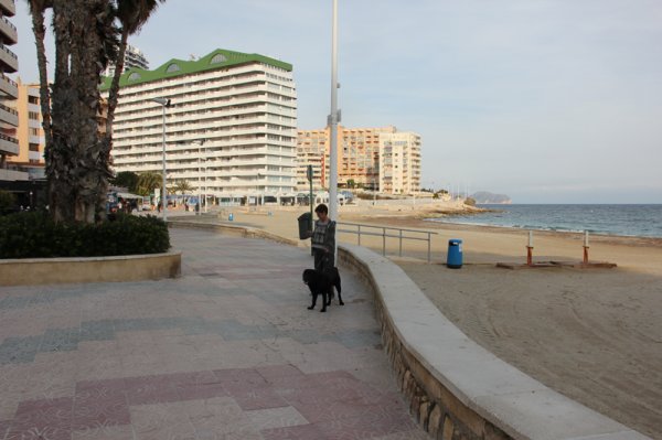 140109 Strandpromenaden Calpe.jpg