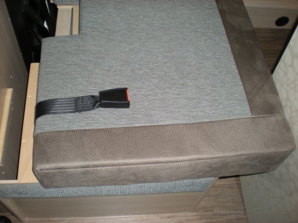 3 Säkerhetsbälte bältet sträcks skiva fram.JPG