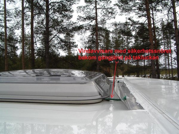 IMGP0343 (Medium).JPG