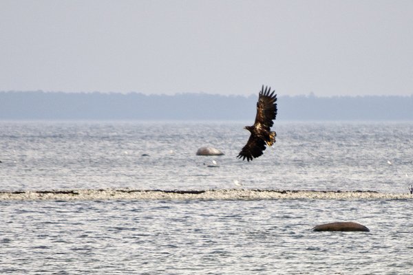 DSC_0076ae.jpg DSC_0076ae.jpg