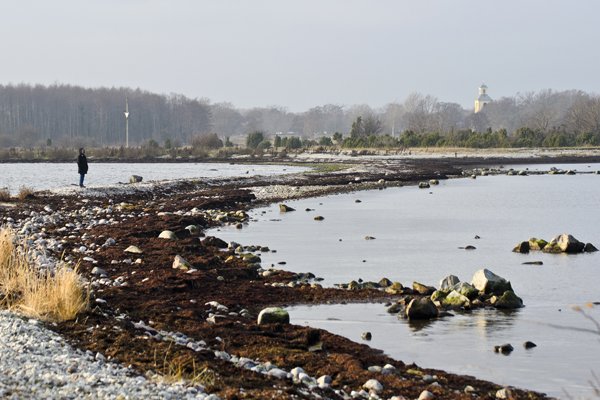 _DSC0538ae.jpg _DSC0538ae.jpg