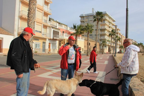 2014-01-13 Strandpromenaden.jpg