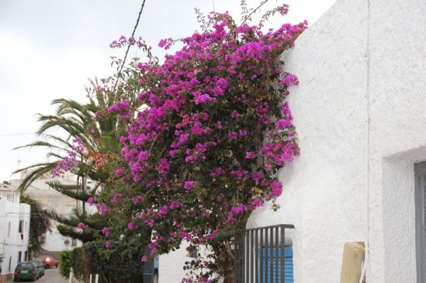 140116 Agua Armaga.jpg