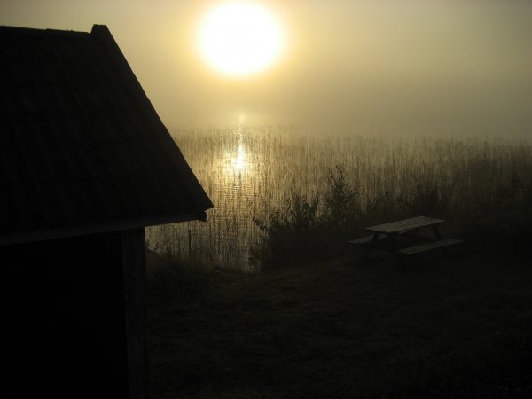 gotland_2008 083.jpg