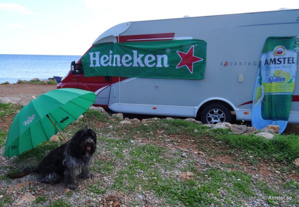 1404Mk-3.JPG 1404Mk-3.JPG