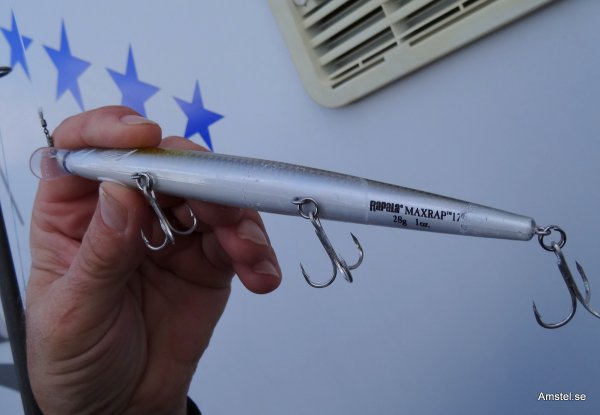 1404Mk-4.JPG 1404Mk-4.JPG