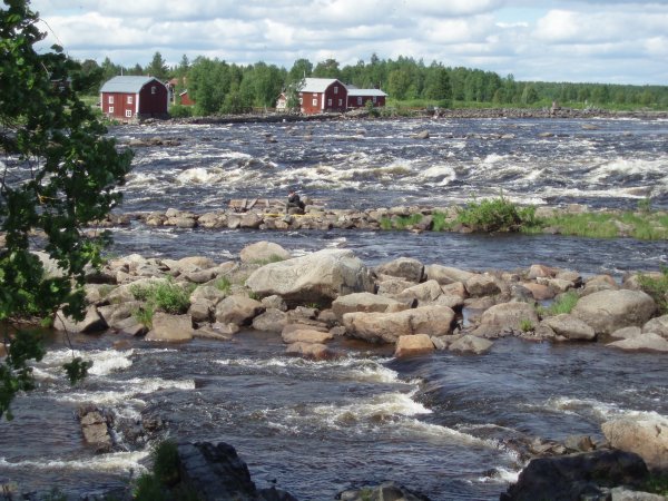 2009 034.jpg 2009 034.jpg