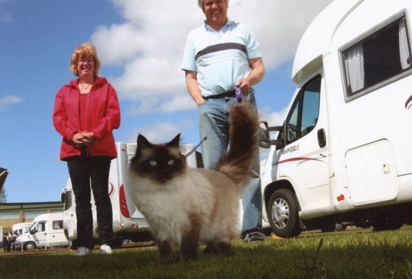 img004.jpg img004.jpg