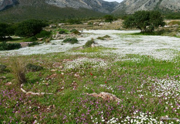 1405HBKs-08.JPG 1405HBKs-08.JPG