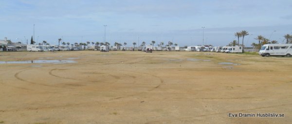 DSCN1785.JPG DSCN1785.JPG