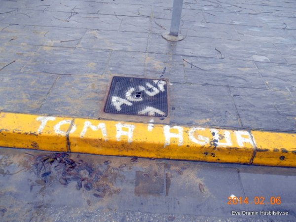 DSCN1796.JPG DSCN1796.JPG