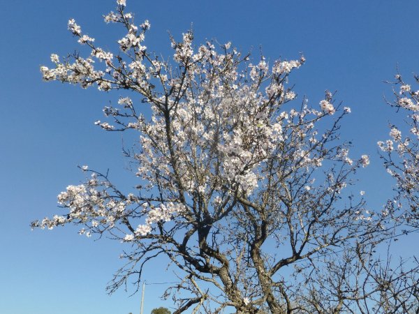 P1000342(1).JPG P1000342(1).JPG