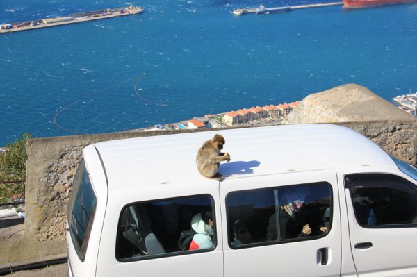 2014-02-09 Fripassagerare.jpg