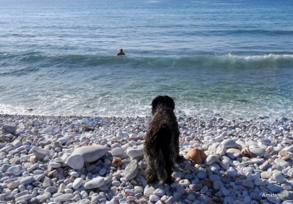 140213-hbk-6.JPG 140213-hbk-6.JPG