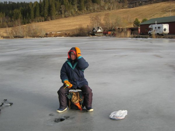 Bild 010 (Large).jpg