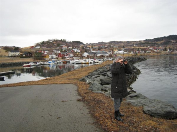 Bild 007 (Large).jpg Bild 007 (Large).jpg