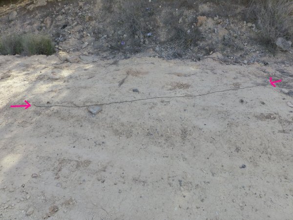 P1000375(1).jpg P1000375(1).jpg