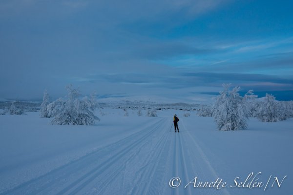 140208.096.jpg 140208.096.jpg