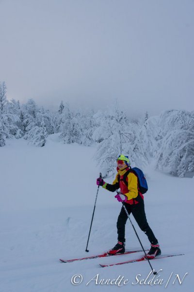 140208.084.jpg 140208.084.jpg