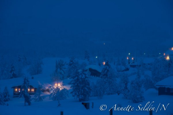 140209.117.jpg 140209.117.jpg