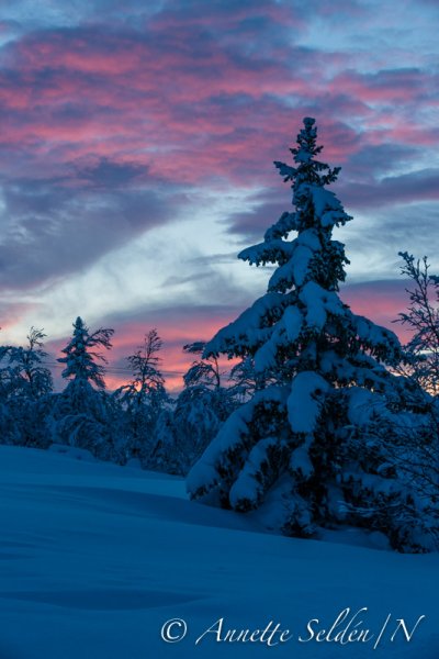 140211.154.jpg 140211.154.jpg