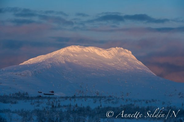 140211.215.jpg 140211.215.jpg