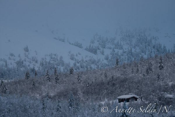 140211.241.jpg 140211.241.jpg