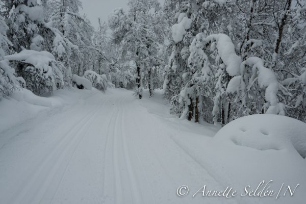 140212.299.jpg 140212.299.jpg