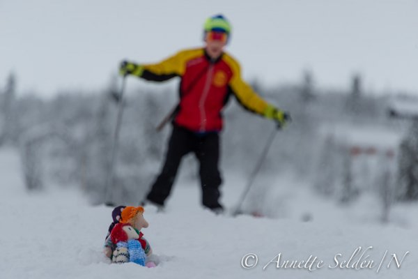 140213.395.jpg 140213.395.jpg