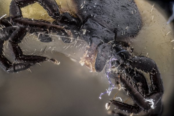 14-02-27_115825_M=C.jpg 14-02-27_115825_M=C.jpg