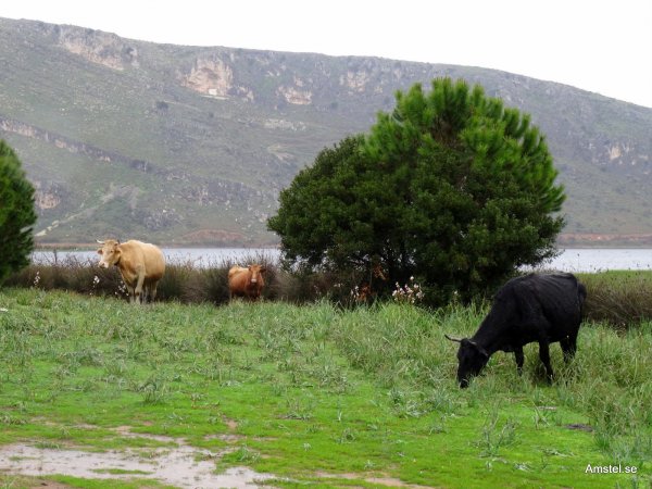 1409hbk-05.JPG 1409hbk-05.JPG