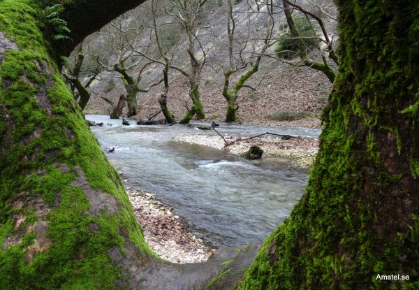 1409hbk-09.JPG 1409hbk-09.JPG