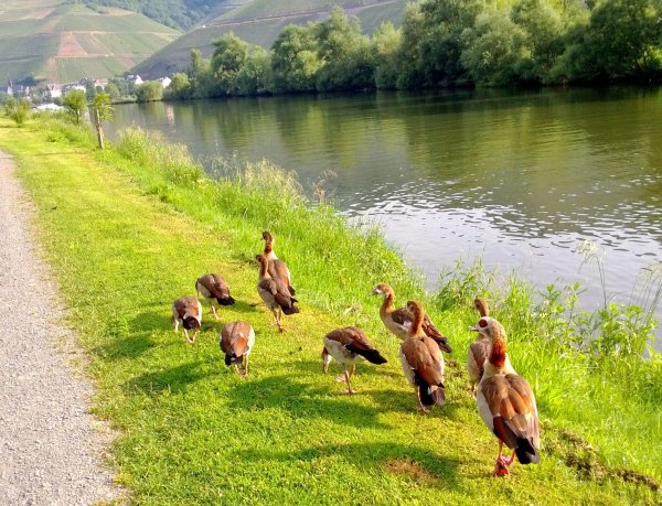 WP_20130619_002.jpg WP_20130619_002.jpg