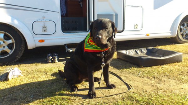 2014-02-13 Födelsedagsbarnet.jpg