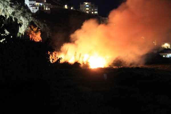 2014-02-16 Brand.jpg