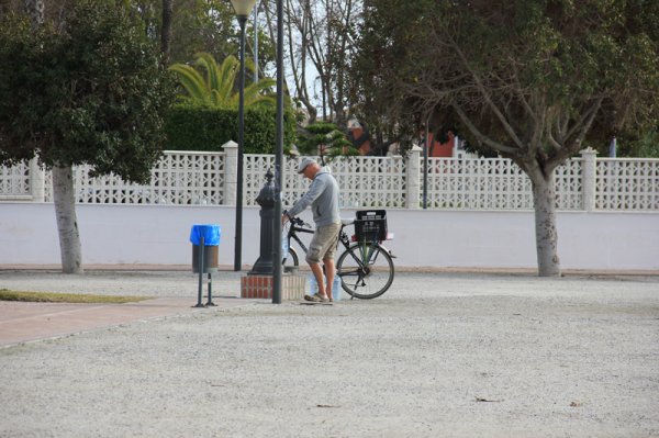 2014-02-16 Kamel vid vattenhål.jpg