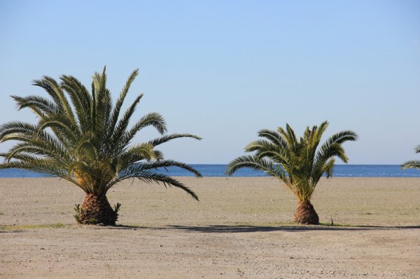 2014-02-20 Motril.jpg