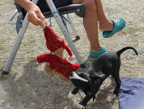 2014-02-28 Dra dåååå.jpg