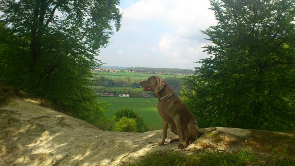 Vy över Salisbury.jpg