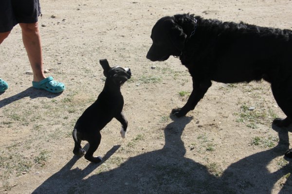 2014-03-03 Lek med mig.jpg