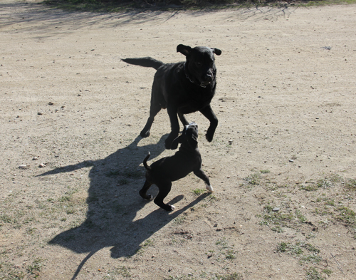 2014-03-03 Är du med.jpg