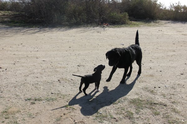 2014-03-03Du är så liten.jpg