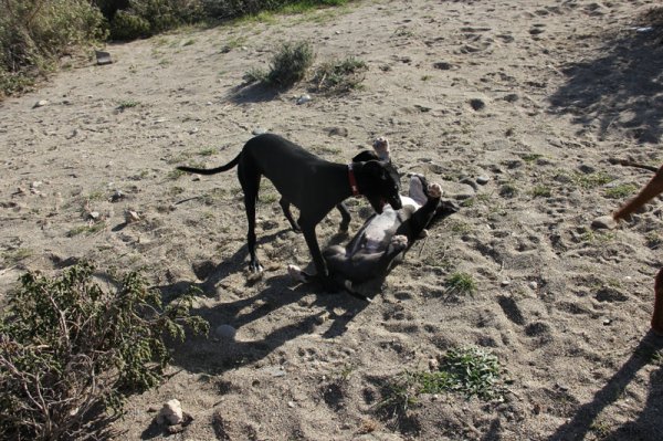 2014-03-04 Jag ger mig.jpg