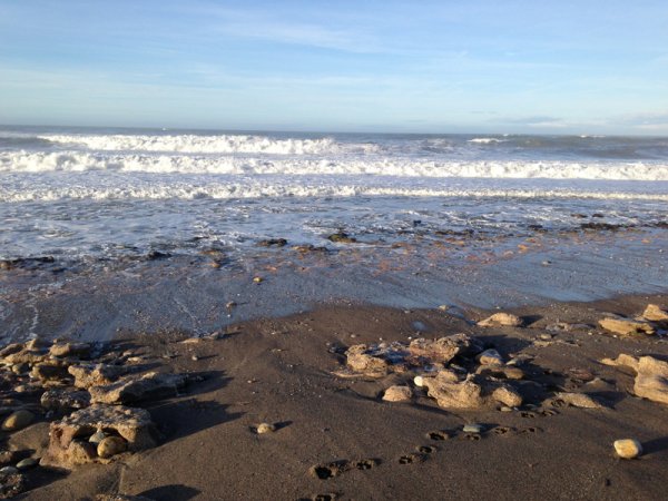 2014-03-08 Spår i sanden.jpg