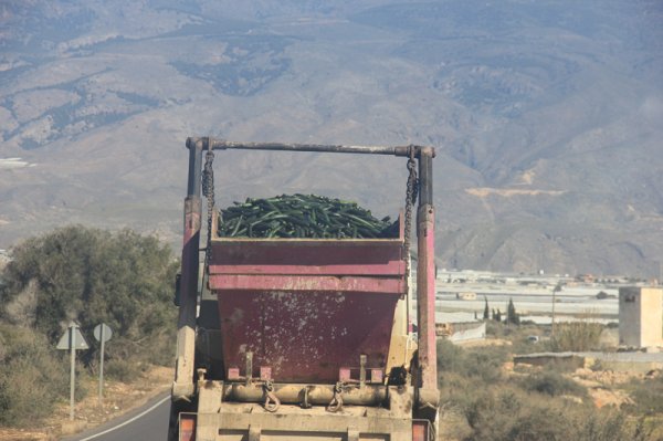 2014-03-10 Gurkor.jpg