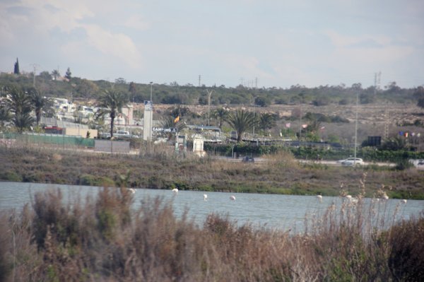 2014-03-13 Flamingos o Santa Pola.jpg