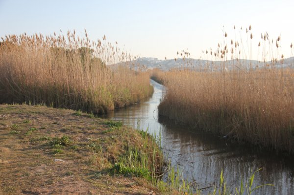 2014-03-15 Promenad i Peniscola.jpg 2014-03-15 Promenad i Peniscola.jpg