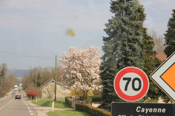 2014-03-21 Vägen.jpg 2014-03-21 Vägen.jpg